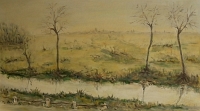 05 Campagna lodigiana - olio su tela